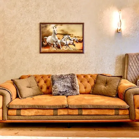 Apartment Jazzy Homes Top Class,100 Mb Fast Internet